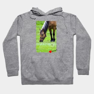 Horse Hoodie